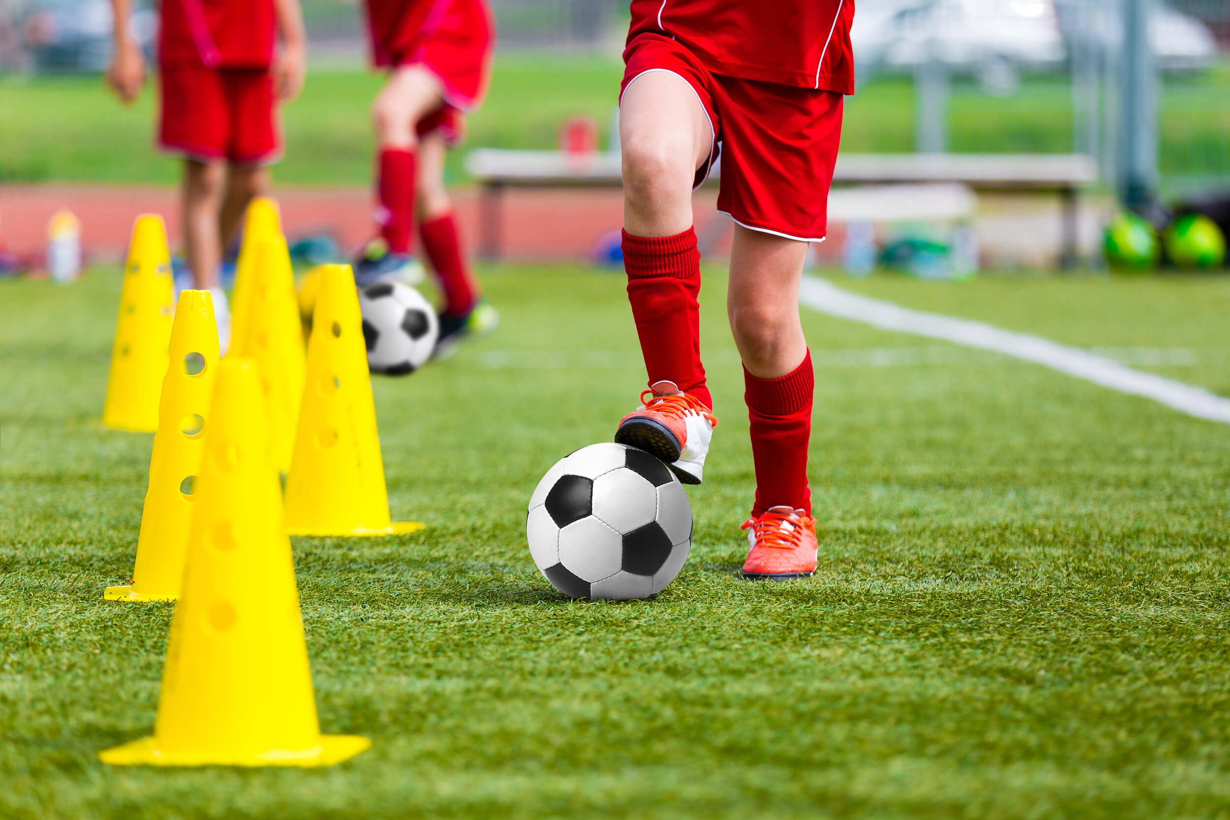 Team development and training
